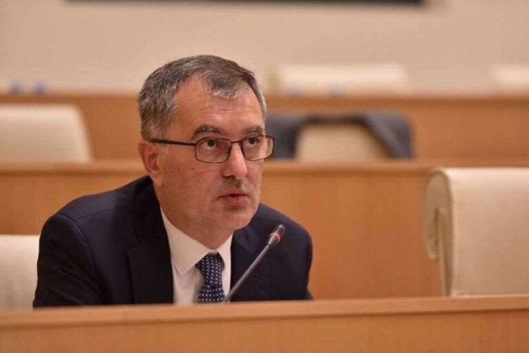 "მეგობარი ქვეყნების ელჩები ხშირად იმპერატიული ტონით გვკარნახობენ, როგორ მოვიქცეთ"-სოზარ სუბარი