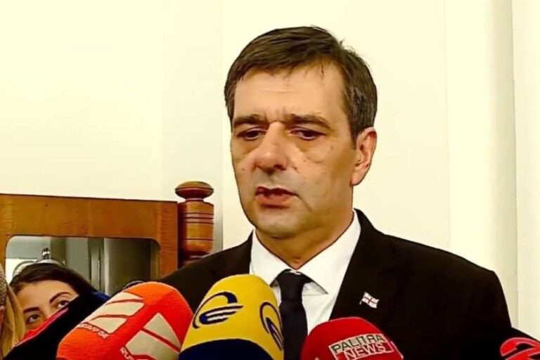 “პრეზიდენტის ინსტიტუტის დაცვაში რას გულისხმობენ, ვერ ვხდები"-  პრეზიდენტის საპარლამენტო მდივანი