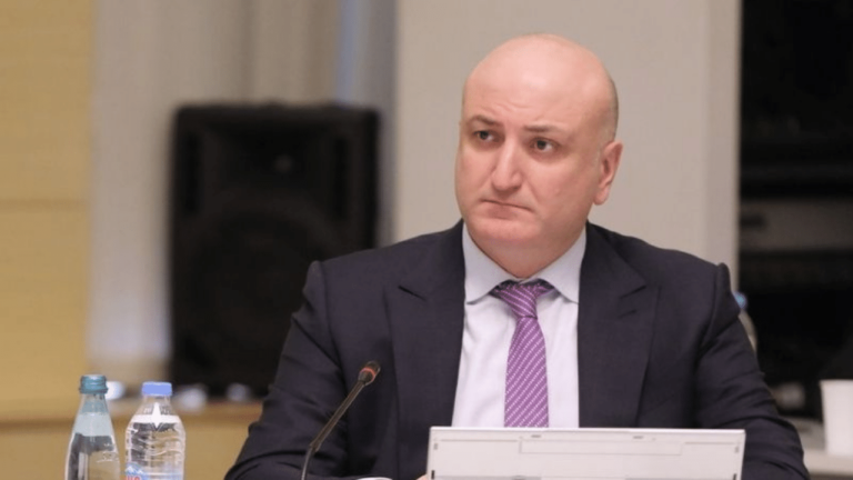 "მთავრობის ინიციატივა, რომლითაც საქართველოში სუროგაცია მხოლოდ საქართველოს მოქალაქეებისთვის იქნება დაშვებული, ინ ვიტრო განაყოფიერებასაც შეეხება"