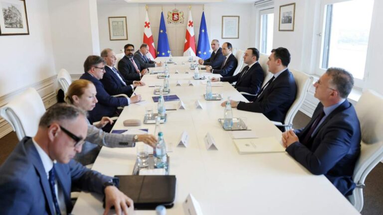 სიცოცხლისა და სანქციების საკითხი: რისთვის იმყოფებოდნენ აშშ-ისა და ევროკავშირის დელეგაციები საქართველოში