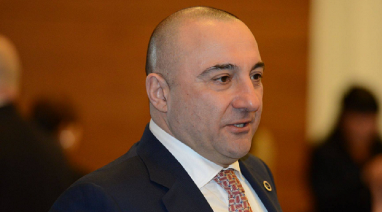 "ხელისუფლების ზოგადი მიდგომაა საპოლიციო რეჟიმის შექმნა ეკონომიკაში - შემოთავაზებული კანონპროექტი საპოლიციო, სადამსჯელო და რუსული სულისკვეთებისაა!"