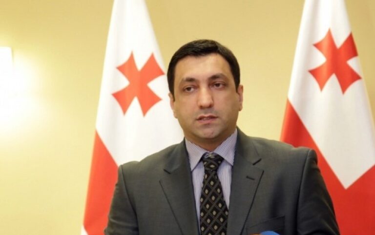 "ევროპარლამენტში გამოსვლისას პრეზიდენტმა ისაუბრა ბევრ საკითხზე, მაგრამ იმავდროულად - არაფერზე" - ლევან ბეჟაშვილი