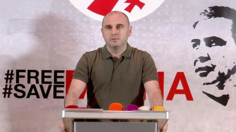 "ოპოზიციურ პროდასავლურ პარტიებს კიდევ ერთხელ ვთავაზობ საერთო სტრატეგიას"- ლევან ხაბეიშვილი