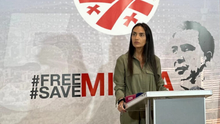"ხალხთან დიალოგის მიზნით, მიხეილ სააკაშვილის „საზოგადოებრივი მისაღები“ გაიხსნება"- სოფო ჯაფარიძე