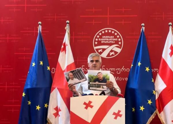 „ქართულმა ოცნებამ" რუსული პროპაგანდისტული მანქანა ჩართო''- ბოტკოველი
