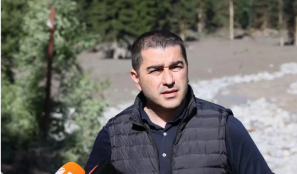 "თანხების შეგროვების არანაირი საჭიროება არ არის, ყველაფერზე ზრუნავს სახელმწიფო" -შალვა პაპუაშვილი