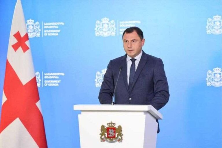 "ჩვენი ქვეყნის მტრებს უნდათ ირაკლი ღარიბაშვილის დაზიანება"- გიორგი ამილახვარი