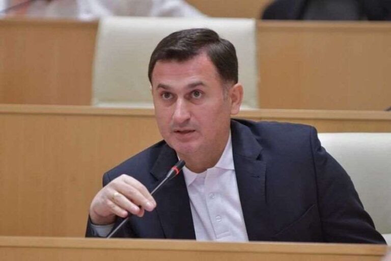 "დროა, პრეზიდენტი გადავიდეს საქმეზე ლაპარაკის ნაცვლად" - დავით კირკიტაძე