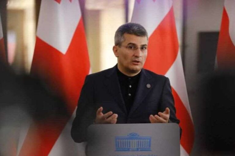 ვეტინგზე“ თითს რომ გვიქნევენ, ჯერ მიხედონ ადეიშვილს, უსასტიკეს, სისხლიან დამნაშავეს, რომელიც თავისუფლად გადაადგილდება ევროპაში -მამუკა მდინარაძე