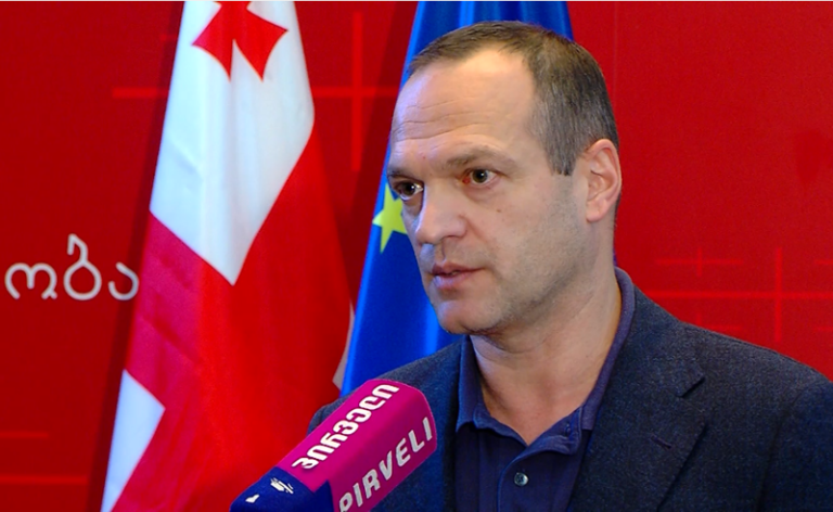 "რუსული ოცნების" შოუ გრძელდება -პეტრე ცისკარიშვილი საკონსტიტუციო სასამართლოს გადაწყვეტილებაზე