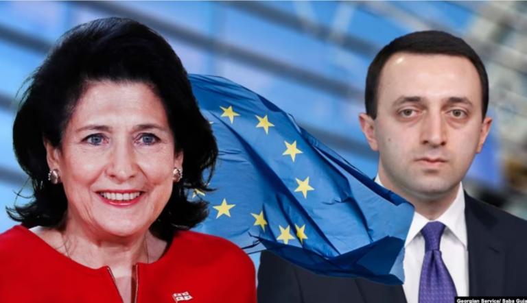 „ყველა ყველას წინააღმდეგ - ქართული პოლიტიკის გზამკვლევი“ - რას წერს უცხოური პრესა