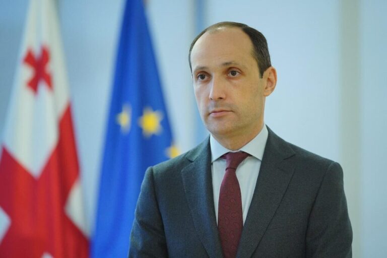 დიახ, რუსეთი ოკუპანტია, დიახ, რუსეთი მტერია - ლევან დავითაშვილი