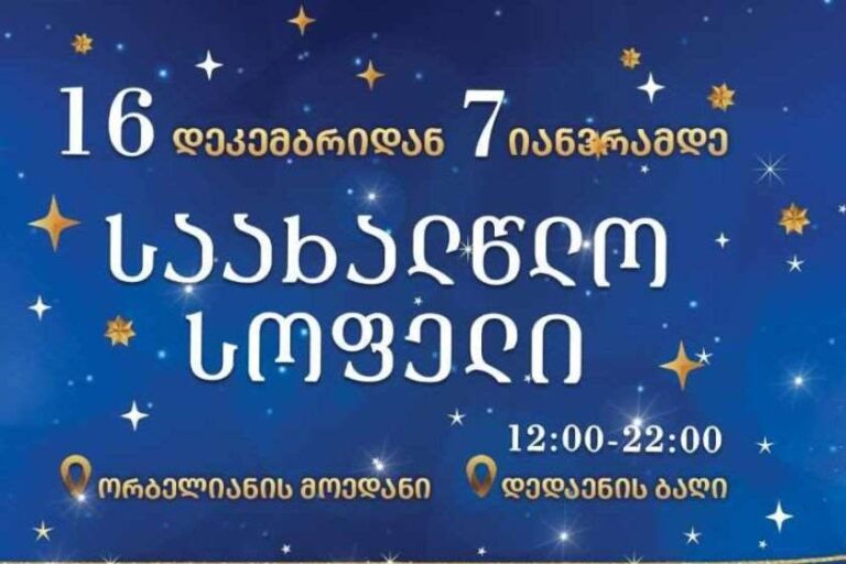 რა ღონისძიებები გელოდებათ საახალწლო სოფელში