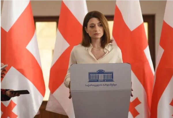 ჩვენი გუნდის ინიციატივა, რომ პრეზიდენტი ხალხმა უნდა აირჩიოს -ანა ბუჩუკური