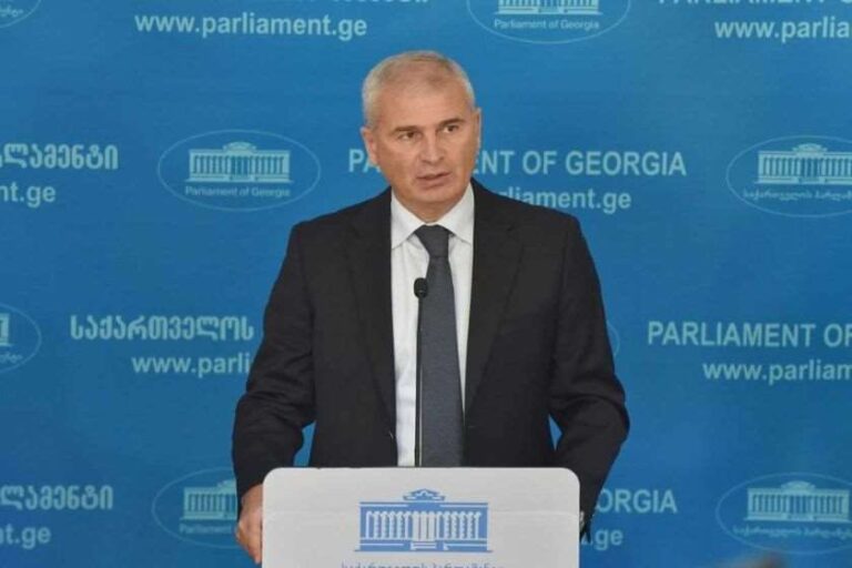 გახარიას განცხადებები ემსახურება ერთ რამეს - პოლიტიკის ზედაპირზე იტივტივოს -ირაკლი ქადაგიშვილი