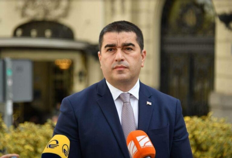 "NGO-ები, რომლებიც უცხოეთიდან ფინანსდებიან ამბობენ, რომ მათმა დამფინანსებლებმა უნდა გადაწყვიტონ, ვინ იყოს ან არ იყოს მოსამართლე" - შალვა პაპუაშვილი