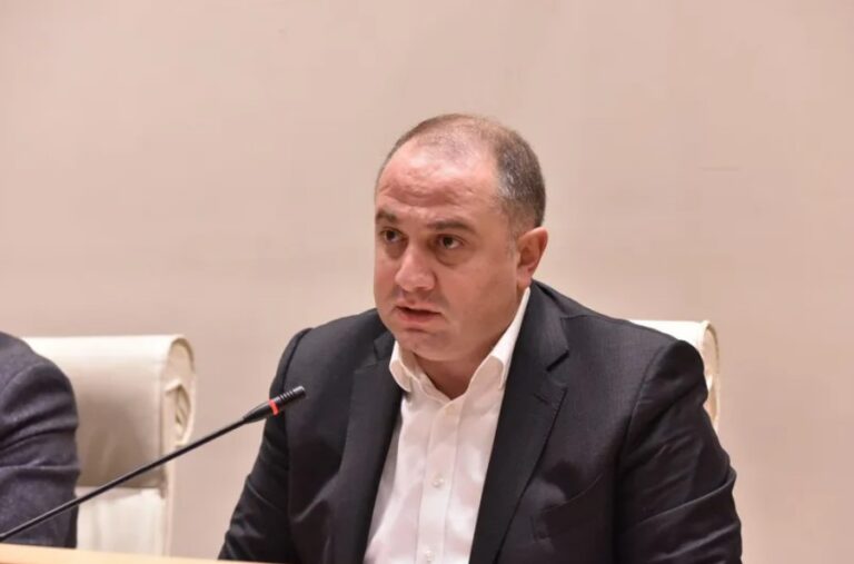 ვერც მე, ვერც ქალბატონ თინას, ვერც ბატონ ირაკლის ვერ მივაწერ იმ იდეას, რომ ჩვენს ქვეყანას სჭირდება დაცული ცა -ირაკლი ჩიქოვანი