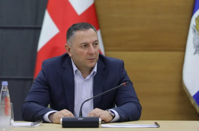 უვიზო რეჟიმი რუსეთთან ჩვენ არ დაგვიწესებია, თქვენმა ყოფილმა ლიდერმა დააწესა - ვახტანგ გომელაური ანა ნაცვლიშვილს