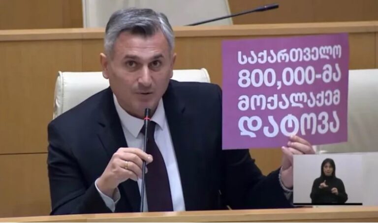 საქართველო 800 000-მა მოქალაქემ დატოვა -დავით კირკიტაძე