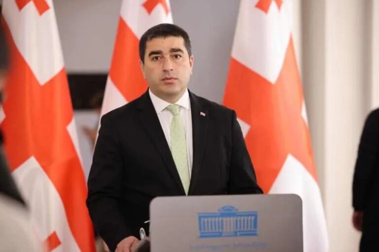 სალომე ზურაბიშვილი დაუპირისპირდა ყველას და ყველაფერს, გარდა "ნაციონალური მოძრაობისა" და მისი კლონებისა - შალვა პაპუაშვილი