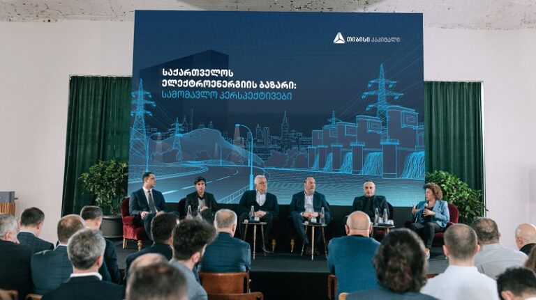 „საქართველოს ელექტროენერგიის ბაზარი: სამომავლო პერსპექტივები" - თიბისი კაპიტალმა ახალი პუბლიკაცია წარადგინა