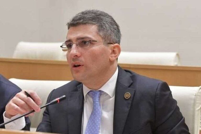 ფაქტობრივად, ძალადობის მოწოდებაზე გადადიან, პასუხისმგებლობას რომელი დონორი იღებს?-მამუკა მდინარაძე