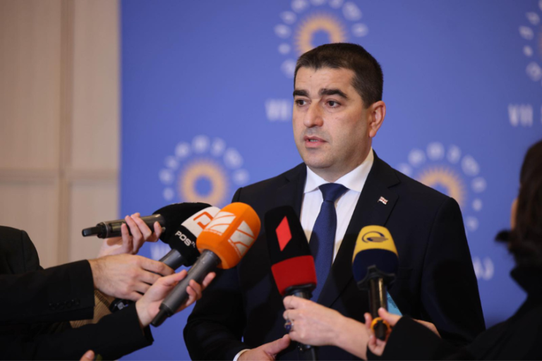 ეკა გიგაურმა სამიზნე მოუნიშნა დონორებს, რომ კარგად დამიზნებით ზუსტად გაარტყან ჩვენს ქვეყანას -შალვა პაპუაშვილი