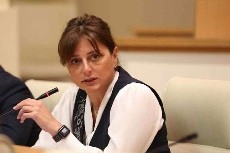 სამარცხვინოა, როდესაც საქართველოს მოქალაქე სამართალდამცავ ინსტიტუტს თავს ესხმის - ბითაძე