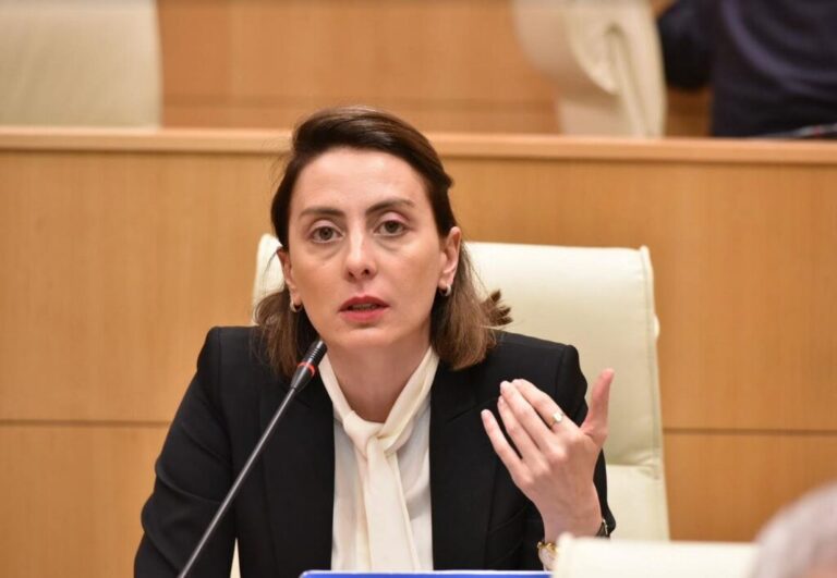  იურიდიულ საკითხთა კომიტეტის სხდომა დაიწყო და დასრულდა 1 წუთსა და 7 წამში -ხატია დეკანოიძე  