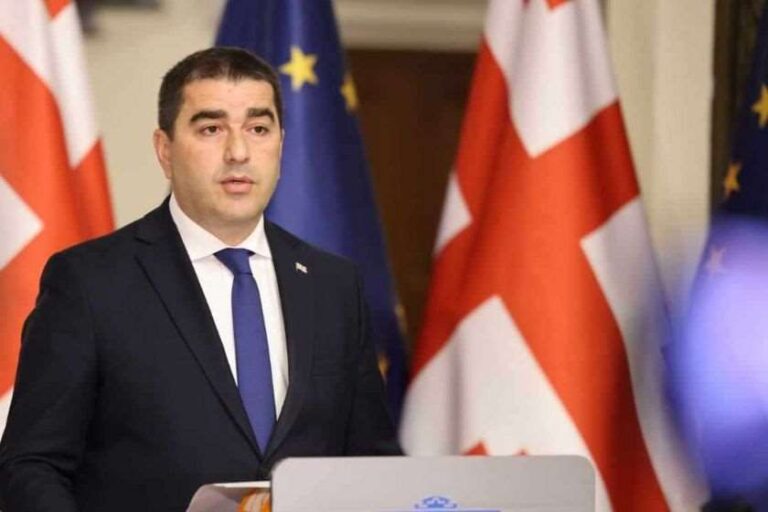 არავის აქვს უფლება, ჩაერიოს ჩვენი გამოხატვის თავისუფლებაში და მიგვითითოს, არ გამოვიყენოთ საღი აზრის ტერმინები- შალვა პაპუაშვილი