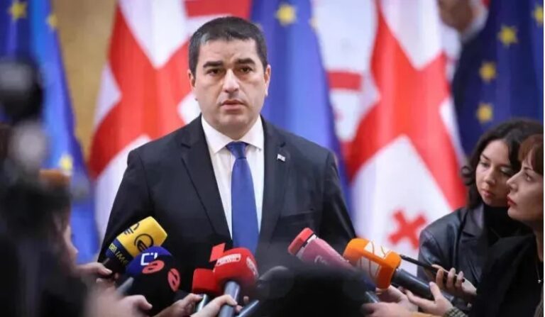 ერთი წელი დავხარჯე, რომ დამერწმუნებინა ფონდები, "ენჯეოები", საელჩოები, თავად უზრუნველყოთ გამჭვირვალობა -შალვა პაპუაშვილი