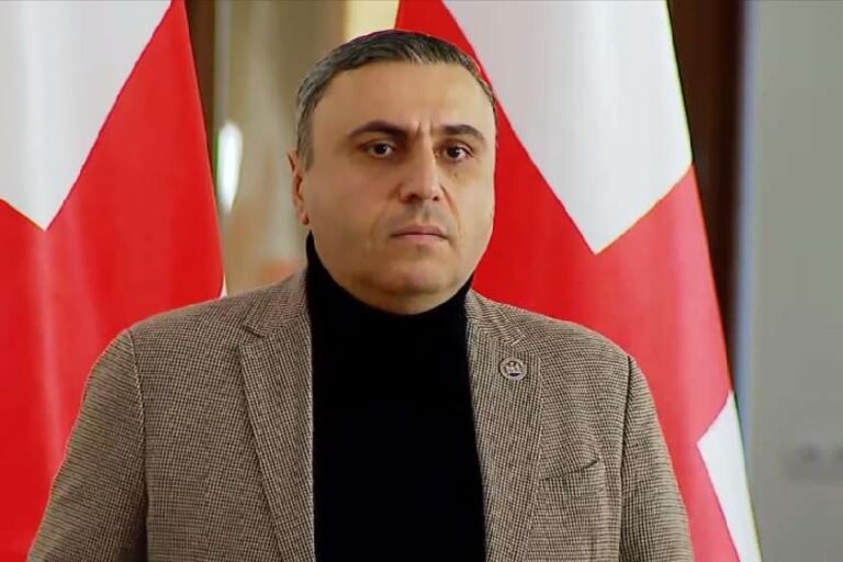 ზურაბ გირჩი ჯაფარიძემ დაღალოს თავისი პარტიის წევრები, პოლიციის ღირსებას ვერ შეეხებიან - მათიკაშვილი