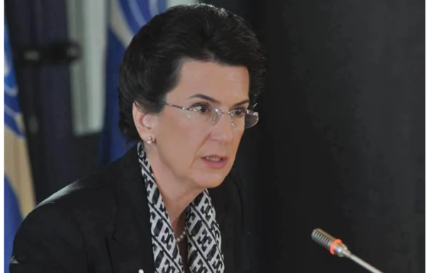 "საქართველო სამოქალაქო დაპირისპირების ზღვარზეა" - ნინო ბურჯანაძე
