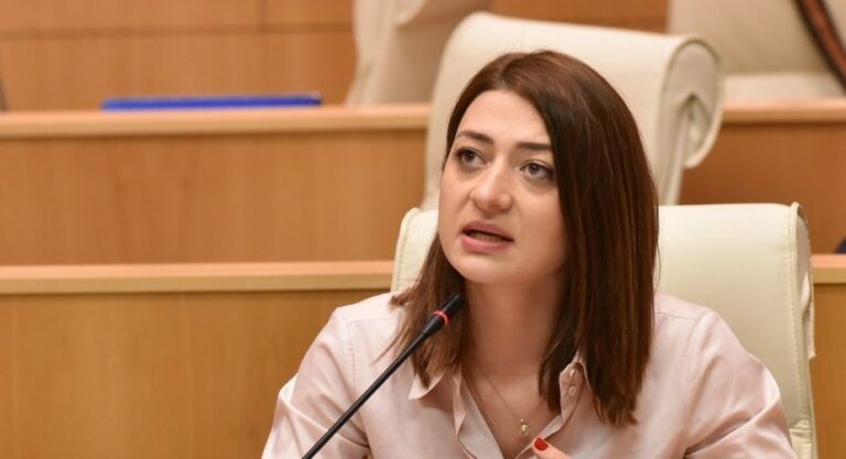 ჩვენი გუნდის სტრატეგიაა, რომ "ნაცებმა" და "ქოცებმა" ამ არჩევნებზე ჯამში 50%-ზე მეტი არ აიღონ -ანა ბუჩუკური