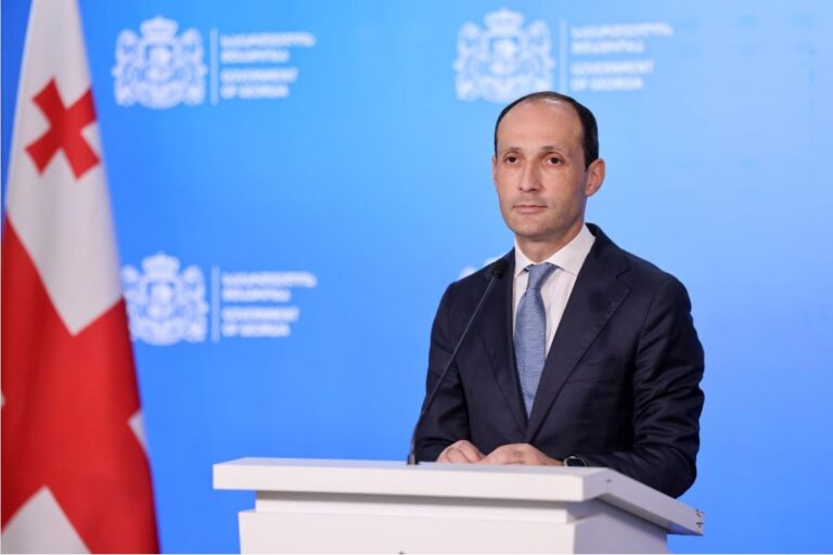 "გარკვეული პოლიტიკური ძალების მხრიდან საკუთარი მიზნებისთვის ხდება ანაკლიის პორტის თემის პოლიტიზირება"-ლევან დავითაშვილი