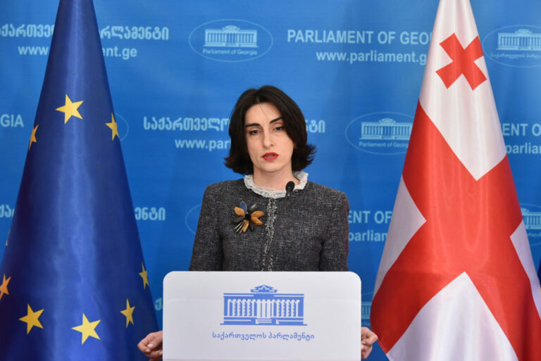 მაღალი წარმოდგენა მაქვს ევროკავშირზე, ვერ შევადარებ რუსეთს და ვერ დავდებ ბრალს, რომ თავში გაივლებს რუსული მეთოდების მსგავსად იმოქმედოს პარტნიორ ქვეყანასთან - მაკა ბოჭორიშვილი