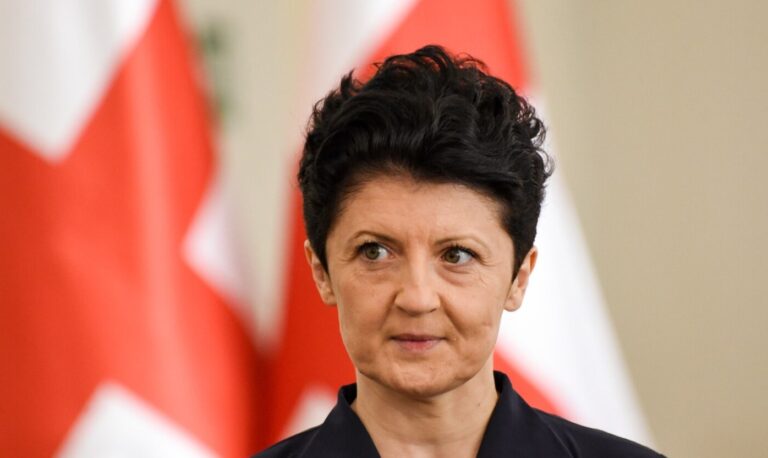 მათი მიზანია, ერი დარჩეს დაუცველი და ხელისუფლებაში მოვიდეს ის, ვინც ზის „ვივამედში“, რომელსაც როცა ეტყვიან, ადექიო, ადგება, დაწექიო, დაწვება, იფორთხეო, იფორთხებს -თეა წულუკიანი