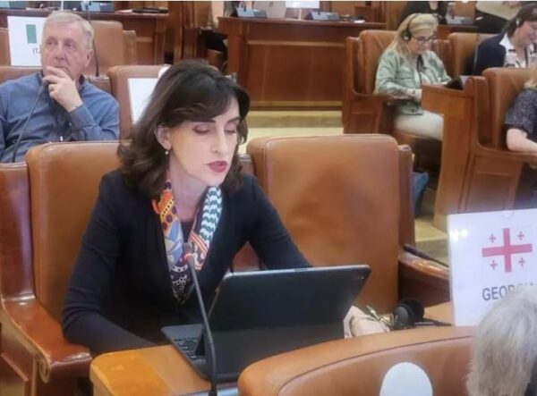 ევროპულ კურსთან დაკავშირებით მუდმივი სპეკულაციები ხელს შეუშლის საქართველოს წინსვლას ევროკავშირისკენ''- ბოჭორიშვილი