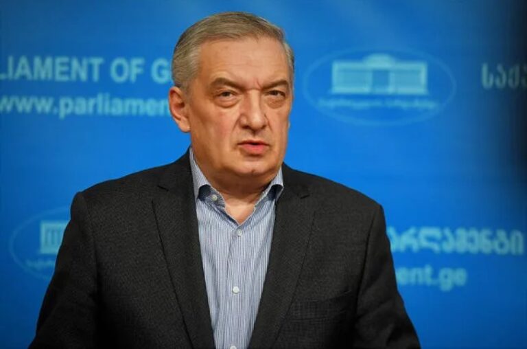 დეზინფორმაციის საშუალებით მიზანს მიაღწიეს, მოხდა ჯახი პოლიციასა და დემონსტრანტებს შორის, ამ პროვოკაციებს არ უნდა აჰყვეთ- გია ვოლსკი