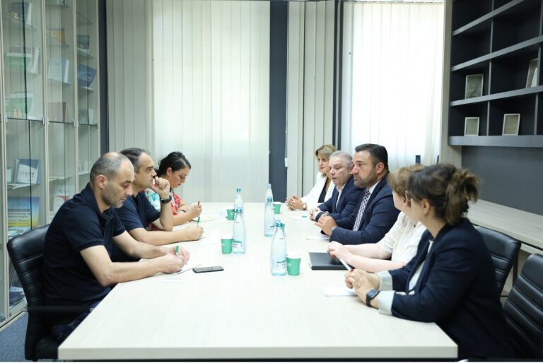 ცესკოში „მრავალეროვანი საქართველოს“ წარმომადგენლებთან სამუშაო შეხვედრა გაიმართა