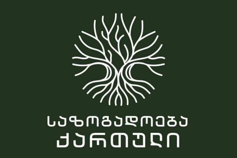 მთავრობის მიერ ქართული არასამთავრობო სექტორისთვის საგრანტო პროგრამების დაფუძნება არის დროული და მისასალმებელი ინიციატივა