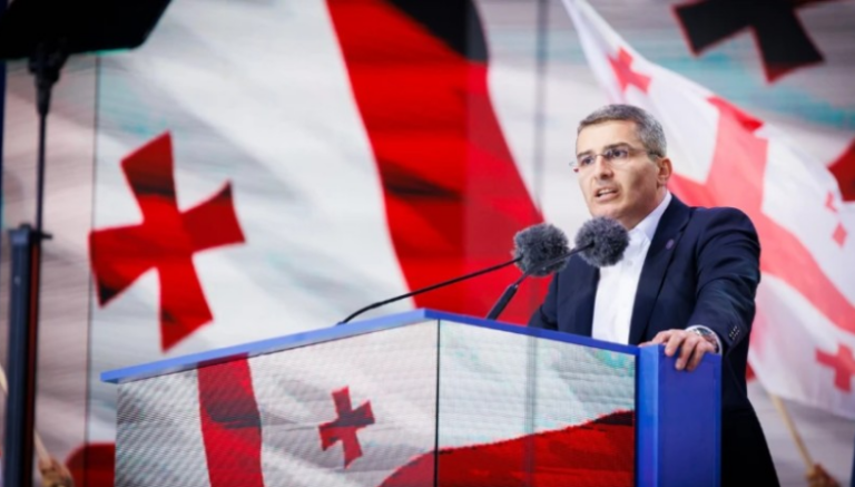 ,,ასეთი არაკომპეტენტური და ზედაპირული ოპოზიცია არცერთ ქვეყანაში არ მოიძებნება''- მამუკა მდინარაძე