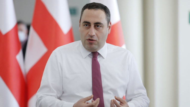 მგონი, ივანიშვილიც აღარ აპირებს 41 შემოხაზოს - ღარიბაშვილი რომ 41-ს არ შემოხაზავს, ასპროცენტიან გარანტიას გაძლევთ - გიორგი ვაშაძე