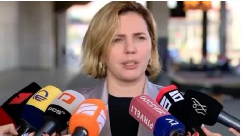 ჩემი შეთავაზება იყო, რომ 2013 წელს უნდა გაკეთებულიყო „სიმართლის კომისია“ და შემდეგი 11 წელი „სისხლიანი 9 წლის“ ძახილით ვერ ირბენდა არაკომპეტენტური მოღალატეების ხროვა - ანა დოლიძე