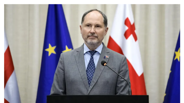მთავრობის მოქმედების შედეგად საქართველოს ევროინტეგრაცია შეჩერებულია - პაველ ჰერჩინსკი