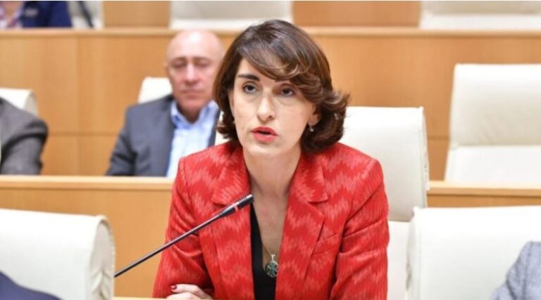 მაკა ბოჭორიშვილი: საერთაშორისო დასკვნებში იშვიათად ვხვდებით სიტყვებს "თავისუფალი" და "სამართლიანი", რაც თავად ბორელმაც აღნიშნა