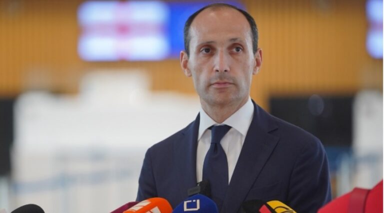 ლევან დავითაშვილის განცხადებით, ანაკლიის პორტის განვითარების პარალელურად, სპეციალური ეკონომიკური ზონის შექმნა განიხილება