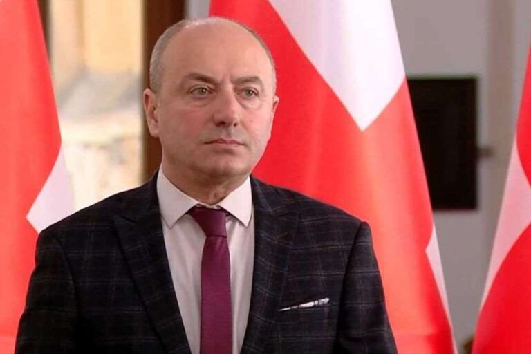 ეს ჩარევა კი არ არის, არამედ, არის პირდაპირი წარმართვა წინასაარჩევნო კამპანიის - გურამ მაჭარაშვილი პაველ ჰერჩინსკის განცხადებაზე