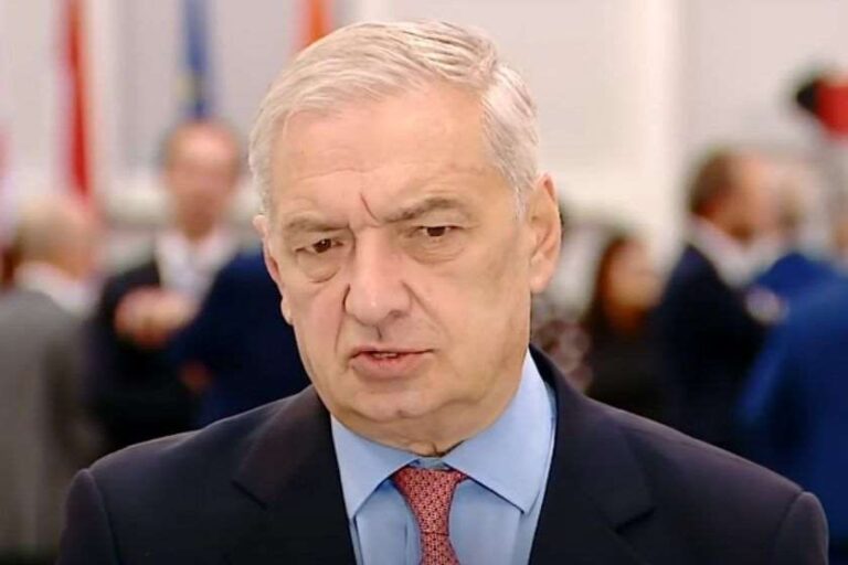ვითარება რთულია, მაგრამ ის პოლიტიკური კრიზისის არსებობას არ გამოხატავს  - გია ვოლსკი