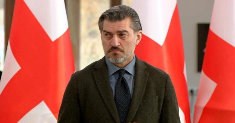 საქართველოს პრეზიდენტობის კანდიდატი მიხეილ ყაველაშვილი იქნება